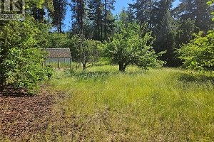 305 & 295 Clarissa Road - Photo 9