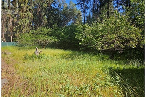 305 & 295 Clarissa Road - Photo 8