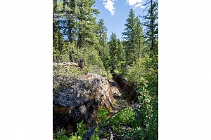 5401-5403 McCulloch Road - Photo 11