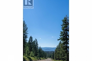 5401-5403 McCulloch Road - Photo 16