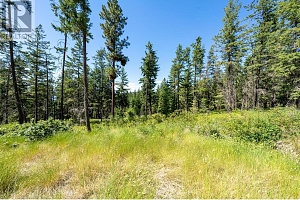 5401-5403 McCulloch Road - Photo 17