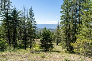 5401-5403 McCulloch Road - Photo 2