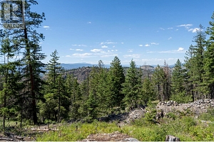 5401-5403 McCulloch Road - Photo 3