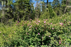 5401-5403 McCulloch Road - Photo 4