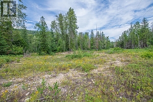 2990 Enderby Mabel Lake Road - Photo 4