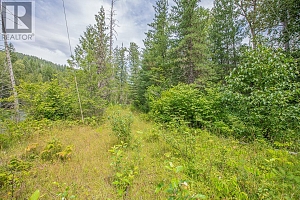 2990 Enderby Mabel Lake Road - Photo 6