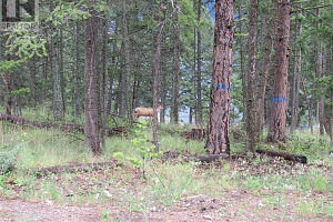 680 Fairbridge Road - Photo 10