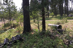 680 Fairbridge Road - Photo 3