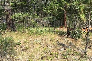 680 Fairbridge Road - Photo 6