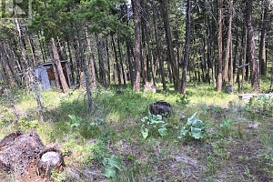 680 Fairbridge Road - Photo 9