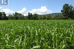 7160 97-A Highway - Photo 10