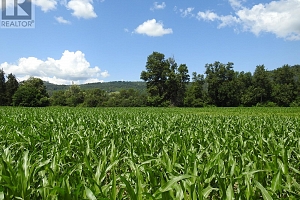 7160 97-A Highway - Photo 11