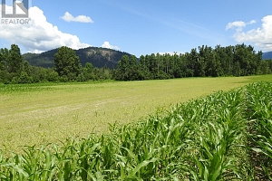 7160 97-A Highway - Photo 12