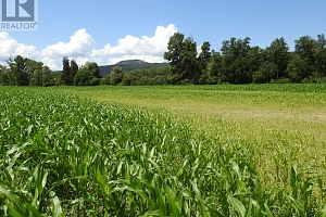 7160 97-A Highway - Photo 13