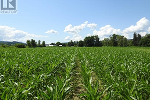 7160 97-A Highway - Photo 14