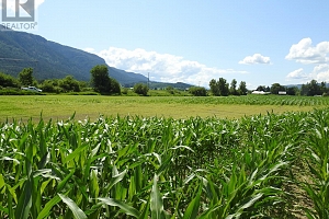 7160 97-A Highway - Photo 16