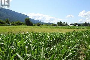 7160 97-A Highway - Photo 16