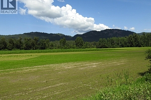 7160 97-A Highway - Photo 3