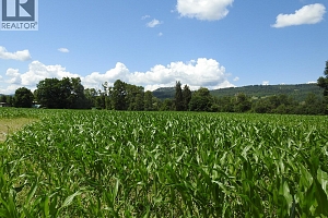 7160 97-A Highway - Photo 5