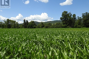 7160 97-A Highway - Photo 6