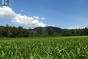 7160 97-A Highway - Photo 7