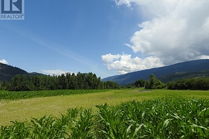 7160 97-A Highway - Photo 8