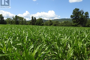 7160 97-A Highway - Photo 9