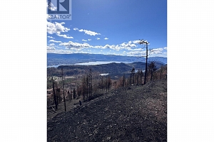 530 Rose Valley Road - Photo 11