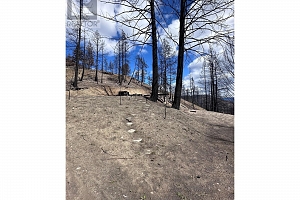 530 Rose Valley Road - Photo 14