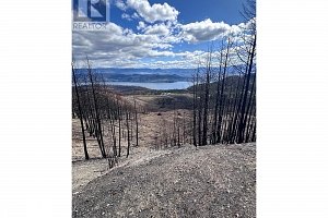 530 Rose Valley Road - Photo 15