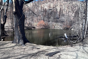 530 Rose Valley Road - Photo 16