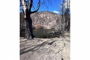 530 Rose Valley Road - Photo 17