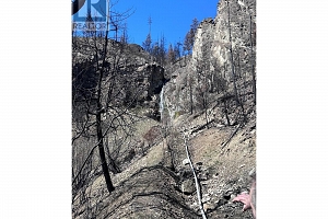 530 Rose Valley Road - Photo 19