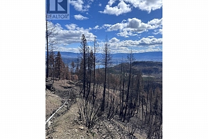 530 Rose Valley Road - Photo 22