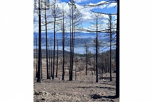 530 Rose Valley Road - Photo 23