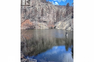 530 Rose Valley Road - Photo 4