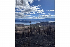 530 Rose Valley Road - Photo 5