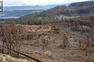 530 Rose Valley Road - Photo 6