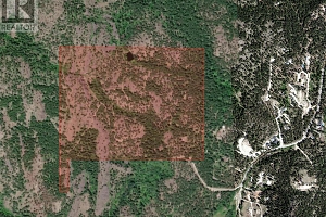 530 Rose Valley Road - Photo 7