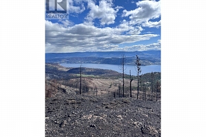 530 Rose Valley Road - Photo 9