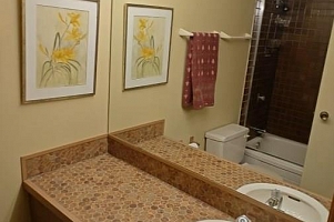 7470 Porcupine Road Unit# 907 - Photo 5