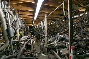 1948 Windsor Road - Photo 5