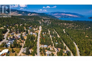 10538 Pinecrest Road - Photo 10