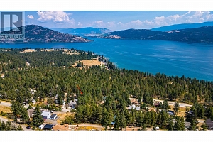 10538 Pinecrest Road - Photo 12