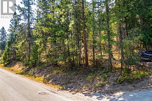 10538 Pinecrest Road - Photo 3