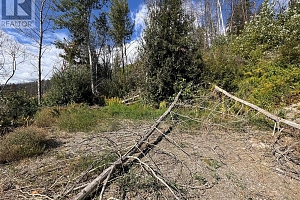 9304 Hodges Road - Photo 12