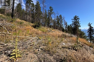 9304 Hodges Road - Photo 13