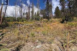 9304 Hodges Road - Photo 15