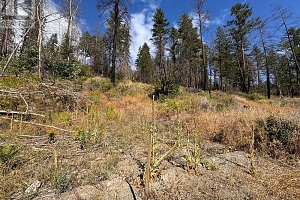 9304 Hodges Road - Photo 16