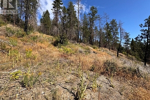 9304 Hodges Road - Photo 17